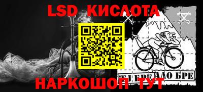 стаф Бузулук