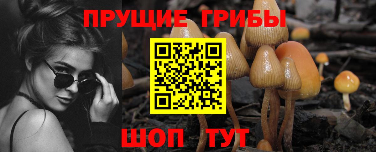 хочу   Галлюциногенные грибы Magic Shrooms  Вход с VPN  Липецк 